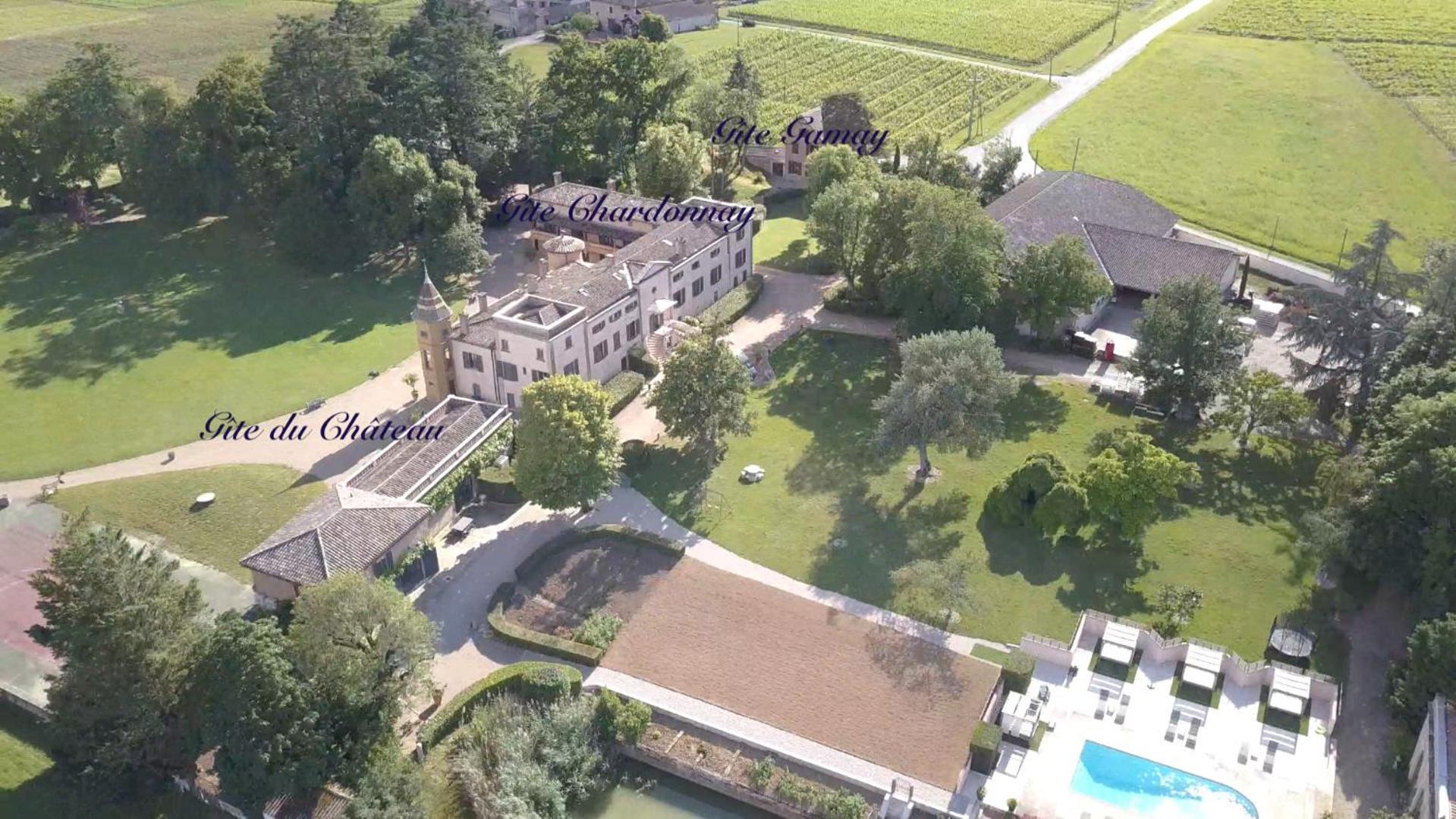 Chateau De Briante Saint-Lager Kültér fotó