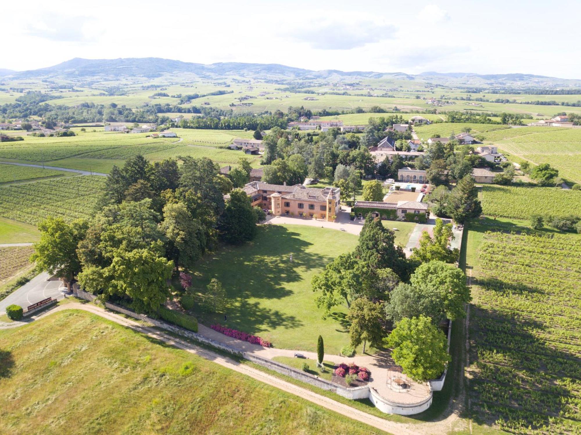 Chateau De Briante Saint-Lager Kültér fotó